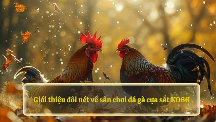 Giới thiệu đôi nét về sân chơi đá gà cựa sắt 88NN