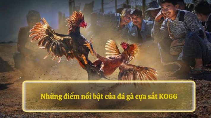 Những điểm nổi bật của đá gà cựa sắt 88NN