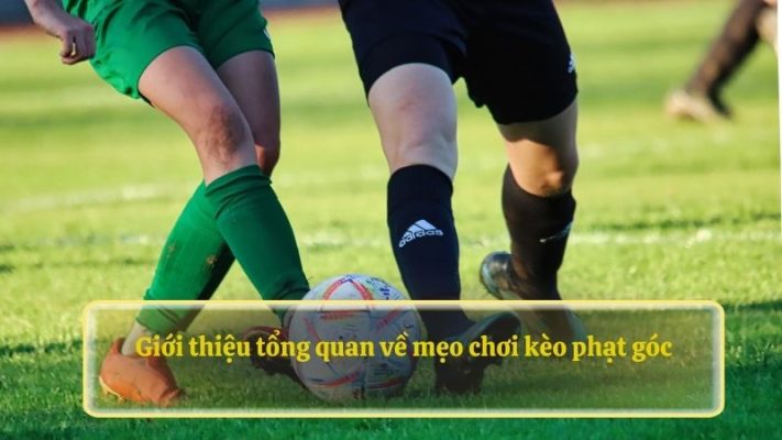 Giới thiệu tổng quan về mẹo chơi kèo phạt góc 88NN