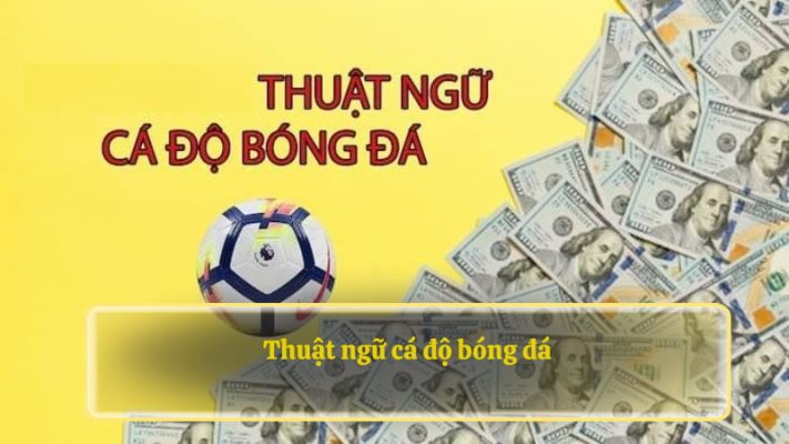 Thuật Ngữ Cá Độ Bóng Đá 88NN