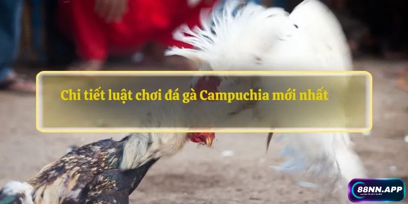 Chi tiết luật chơi đá gà Campuchia mới nhất tại 88NN