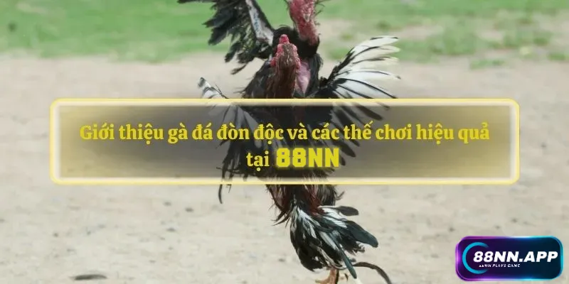 Gà đá đòn độc