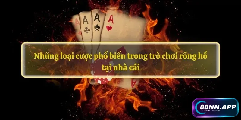 Những loại cược phổ biến trong trò chơi rồng hổ tại nhà cái