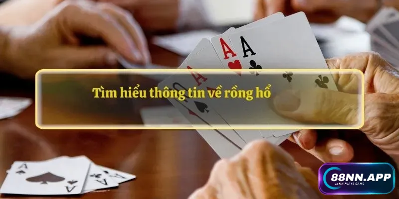 Tìm hiểu thông tin về rồng hổ 88NN